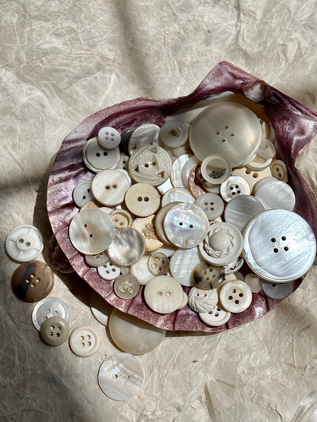 Lenora Dame Mother of Pearl Button Soup