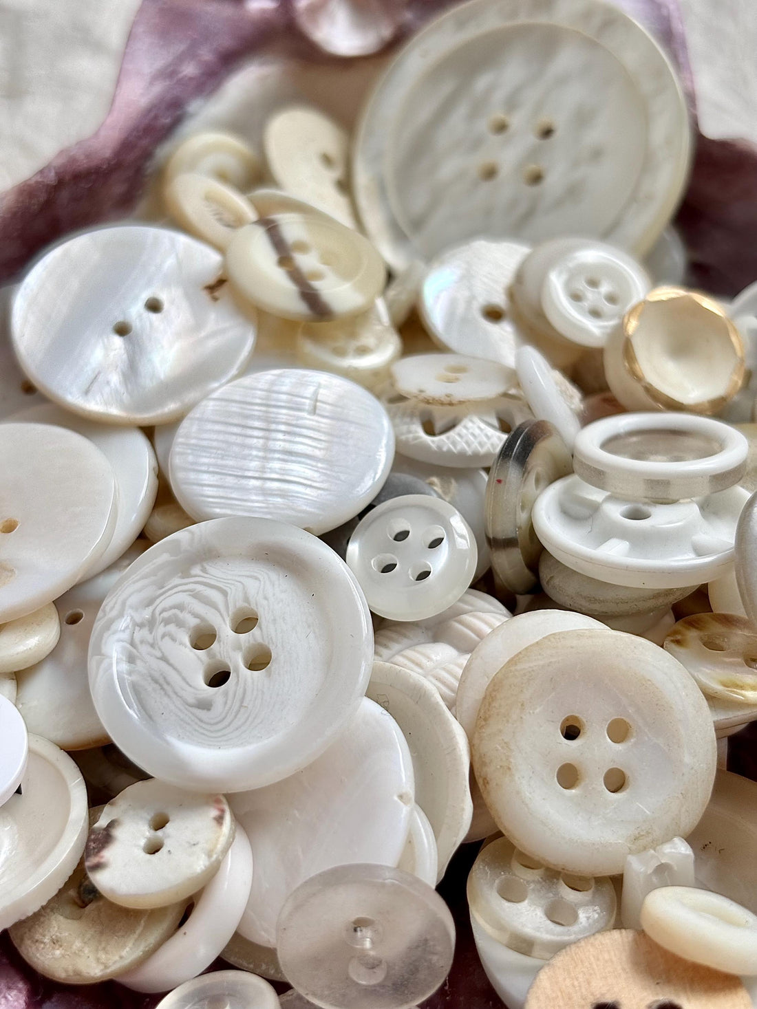Lenora Dame Mother of Pearl Button Soup